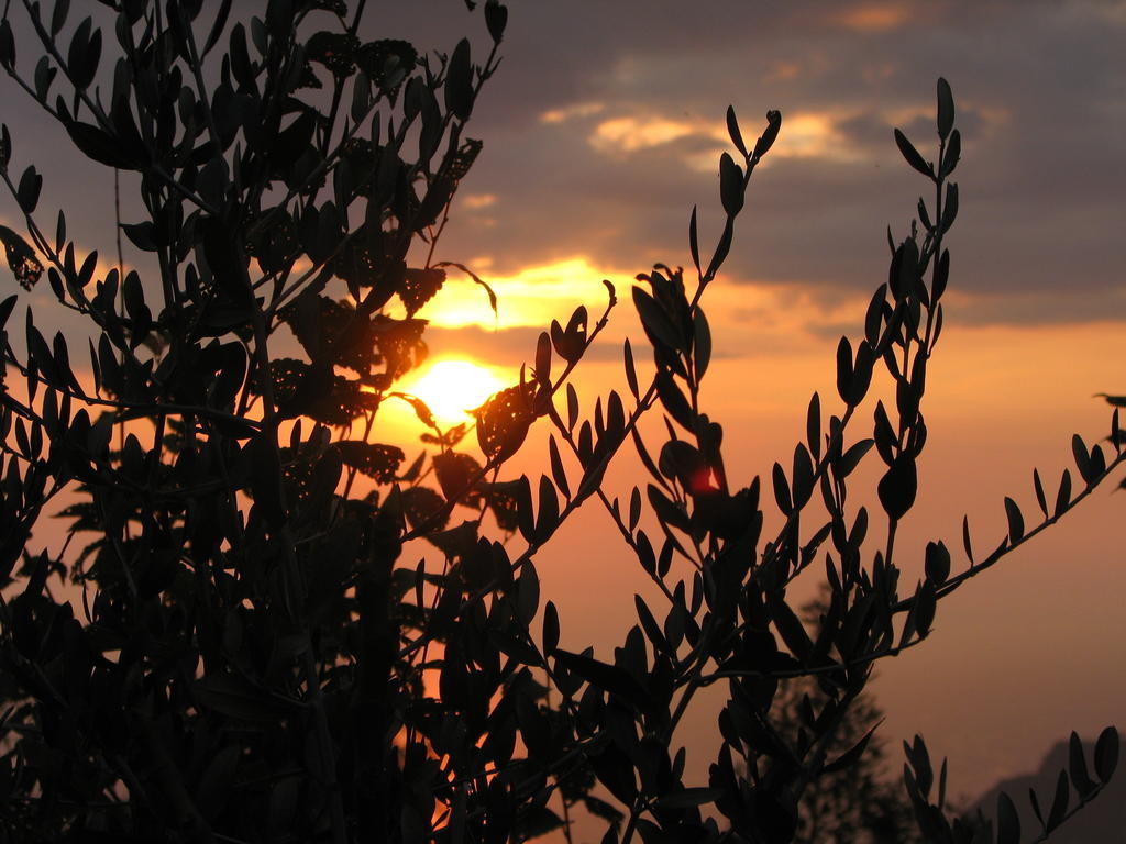 Cilento Bed & Breakfast San Mauro Cilento Bagian luar foto