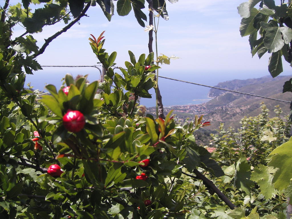 Cilento Bed & Breakfast San Mauro Cilento Bagian luar foto